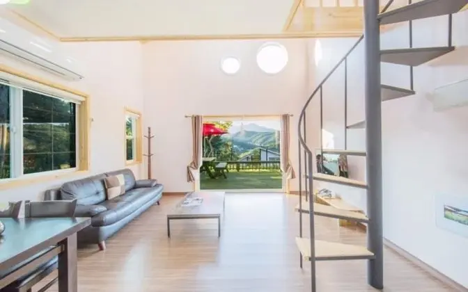 Oda (Rocky C Building (Pet Dog X Dog House)