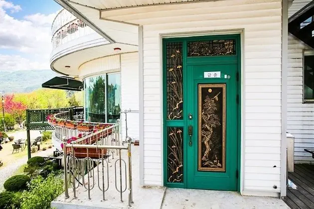 Oda (Japanese Umbrella Pine (165m))