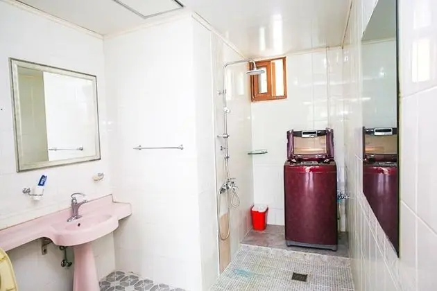 Oda (Japanese Umbrella Pine (165m))