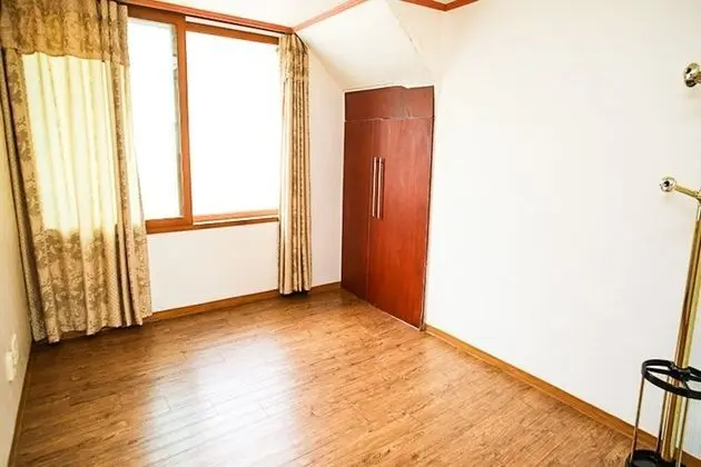 Oda (Japanese Umbrella Pine (165m))