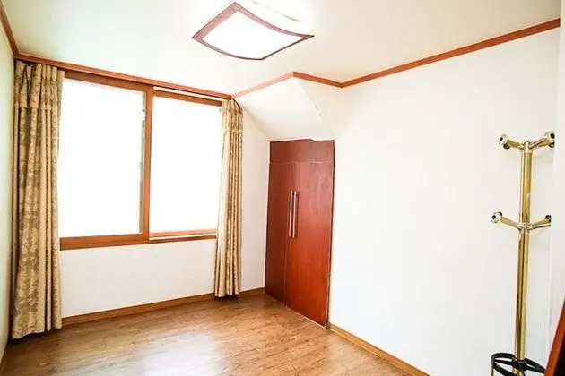 Oda (Japanese Umbrella Pine (165m))