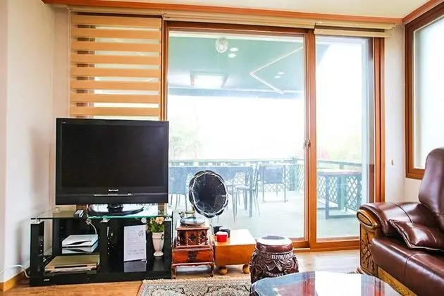 Oda (Japanese Umbrella Pine (165m))