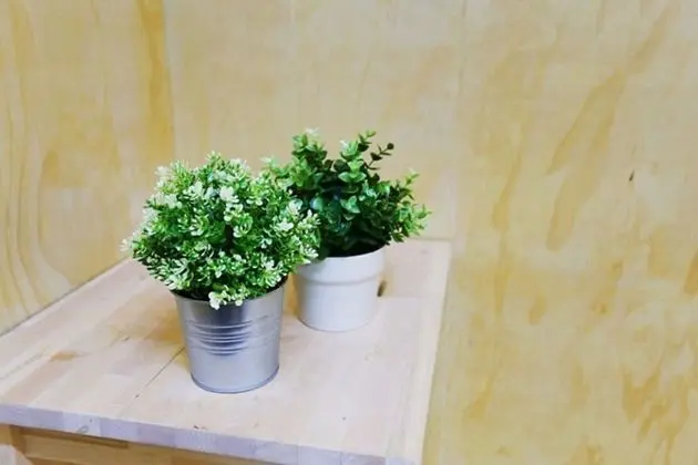 Oda (Single Container-BLACK)