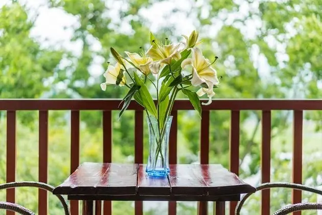 Tek Büyük Yataklı Oda, Balkon