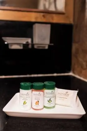 Premium Tek Büyük veya İki Ayrı Yataklı Oda, 1 Çift Kişilik Yatak, Sigara İçilebilir, Dağ Manzaralı