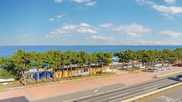 Basic Oda, 1 Yatak Odası (Darjeeling 402 (Ocean View))