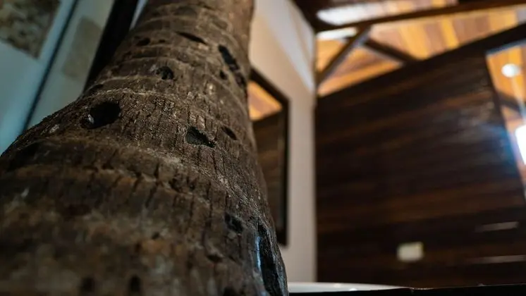 Superior Dağ Evi, 1 Çift Kişilik Yatak ve Çekyat (Ofurô)