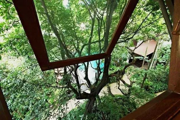 Deluxe King High Floor