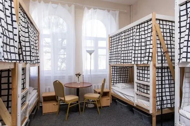 Standard Ortak Ranzalı Oda (1 Bed in 12-Beds Mixed Dorm)