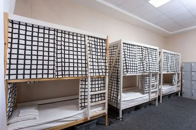 Standard Ortak Ranzalı Oda (1 Bed in 12-Beds Mixed Dorm)