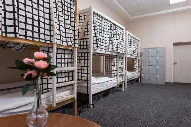 Standard Ortak Ranzalı Oda (1 Bed in 12-Beds Mixed Dorm)