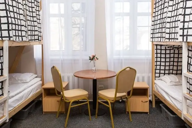 Standard Ortak Ranzalı Oda (1 Bed in 12-Beds Mixed Dorm)