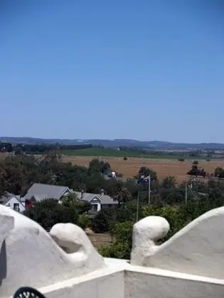 Süit