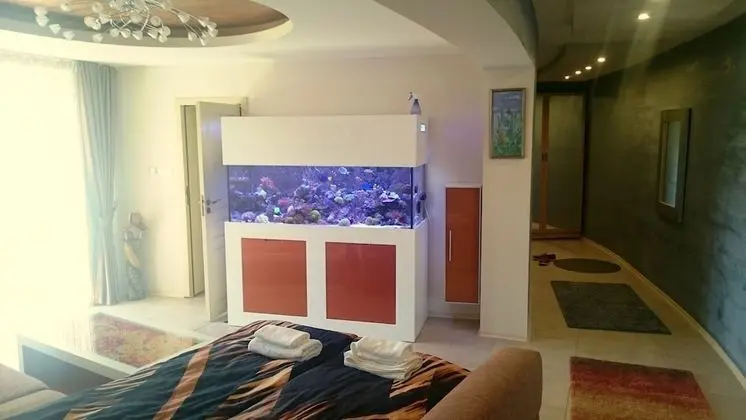 Executive Apartment