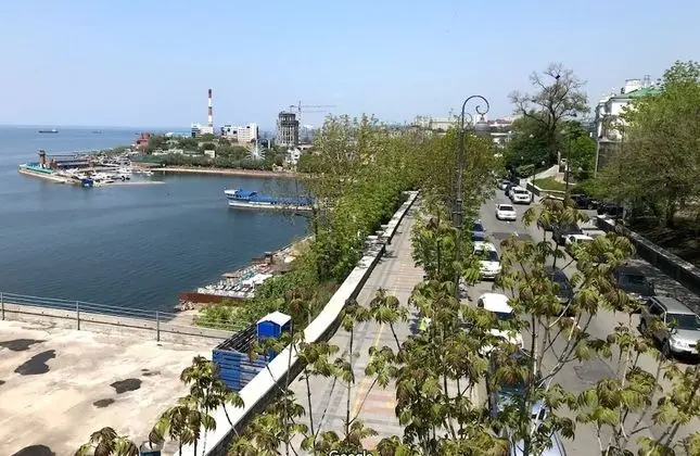 Basic Tek Büyük Yataklı Oda