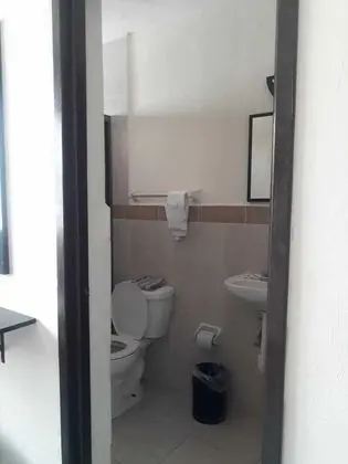 Basic Tek Büyük Yataklı Oda, Sigara İçilmez, Havuz Manzaralı