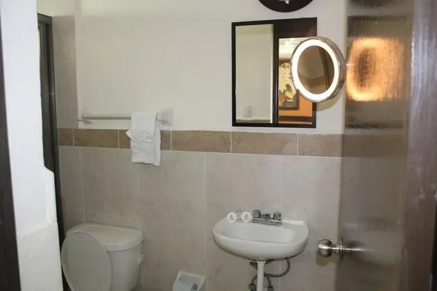 Basic Tek Büyük Yataklı Oda, Sigara İçilmez, Havuz Manzaralı