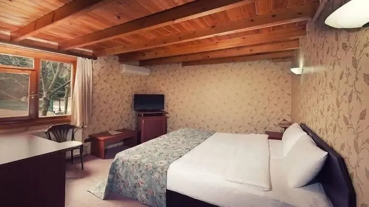 Standard Tek Büyük veya İki Ayrı Yataklı Oda