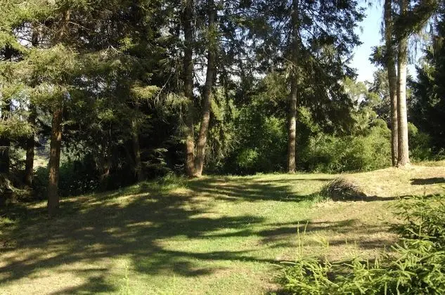 Süit, 1 Çift Kişilik Yatak ve Çekyat (Aalborg Suite)