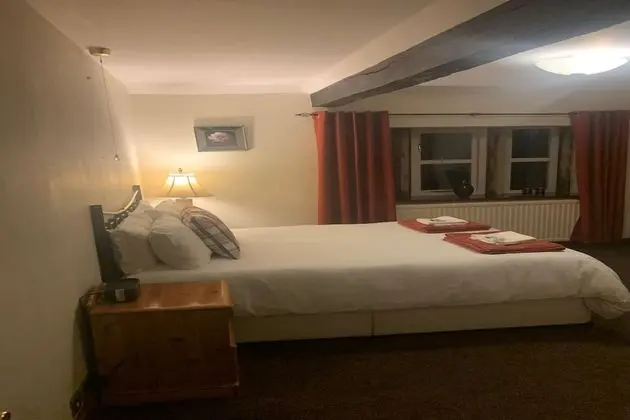 Standard Tek Büyük Yataklı Oda, 1 Çift Kişilik Yatak
