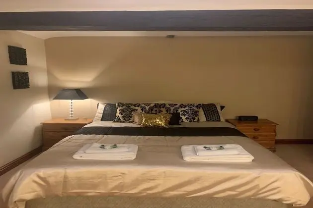 Standard Tek Büyük Yataklı Oda, 1 Çift Kişilik Yatak