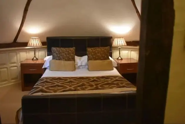 Standard Tek Büyük Yataklı Oda, 1 Çift Kişilik Yatak, Engellilere Uygun, Bahçe Manzaralı