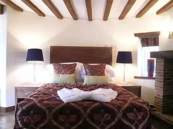 Standard Tek Büyük Yataklı Oda, 1 Çift Kişilik Yatak, Engellilere Uygun, Bahçe Manzaralı