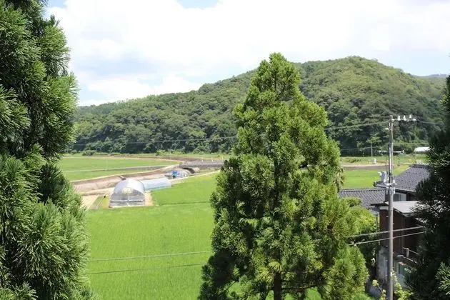 Traditional Oda (Manyo)