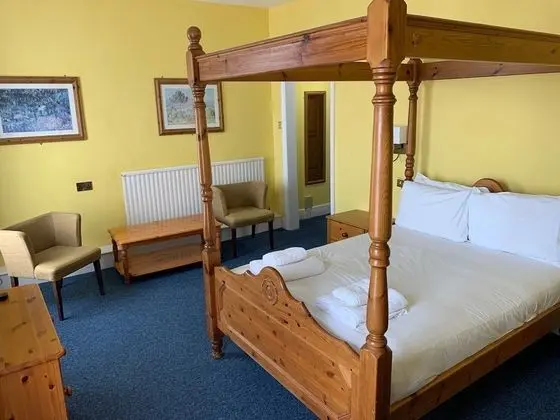 Standard Tek Büyük Yataklı Oda, Banyolu/Duşlu