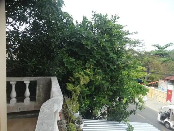 İki Ayrı Yataklı Oda, Bahçe Manzaralı