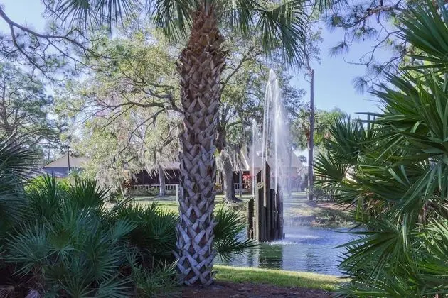Daire (Yellow Pine Duplex Close to Pool & Te)