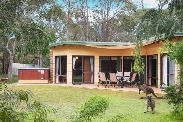 Premium Oda (Lodge)