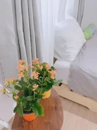 Comfort Tek Büyük Yataklı Oda, Ortak Banyo (No 2)