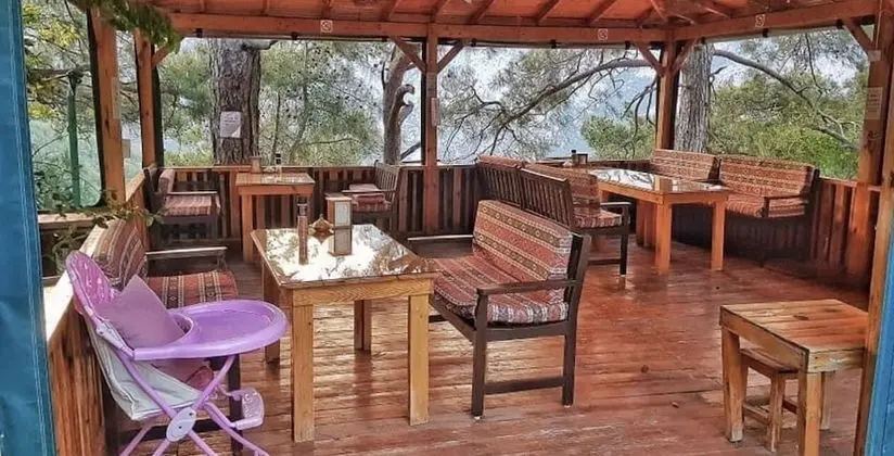 Tek Yatak Odali Dag Evi