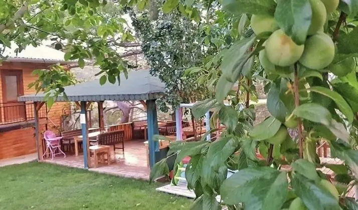 Tek Yatak Odali Dag Evi