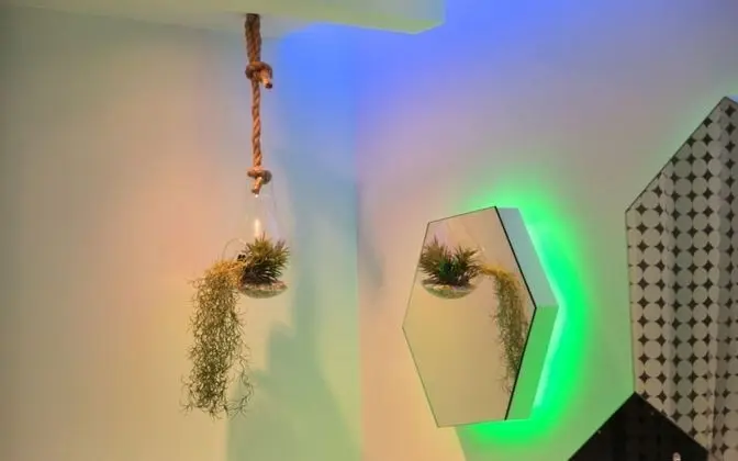 Oda (Suite room (drive-in))