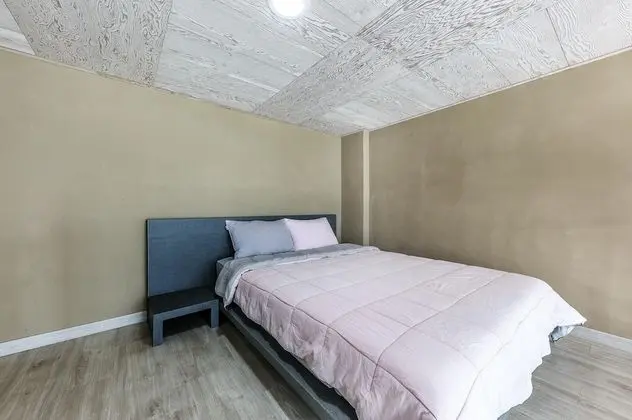 Basic Oda, 1 Yatak Odası (101)