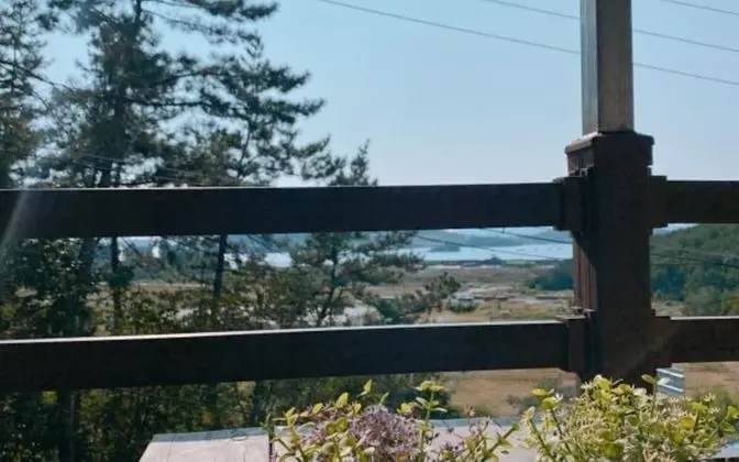 Oda (Pine Needle (Ocean View))