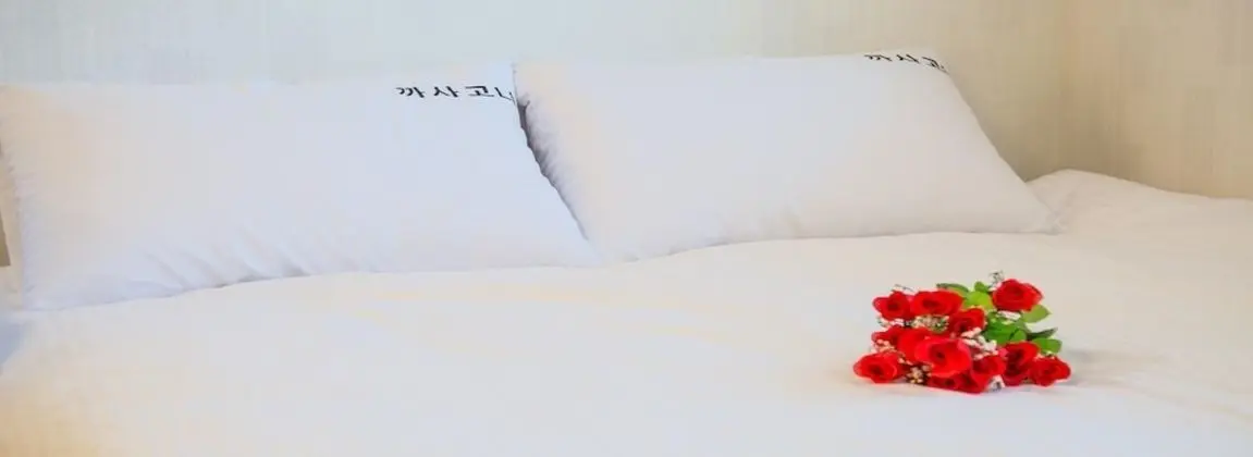 Basic Oda, 1 Yatak Odası (A102)