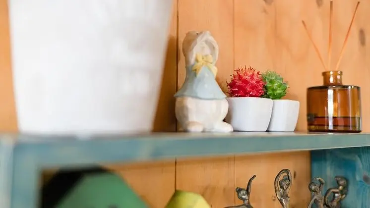 Basic Oda, 1 Yatak Odası (CocoMelon)