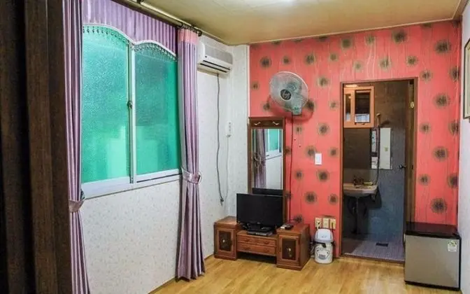 Oda (Jindallae (Azalea))