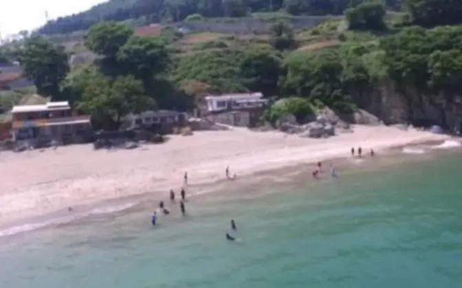 Oda (Family Room (Ocean View))