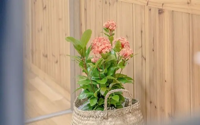 Oda (203 6 person Domitory)