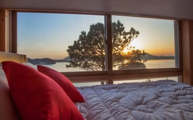 Oda (Swan 101 (couple) (Duplex))