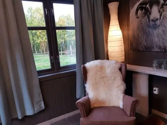 Basic Kulübe