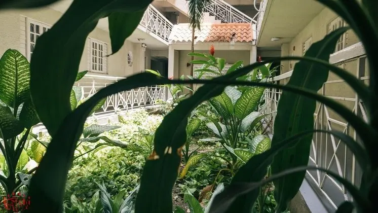 Apart Daire, 2 Büyük (Queen) Boy Yatak