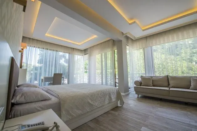Standart Oda, Dağ Manzaralı, Balkonlu
