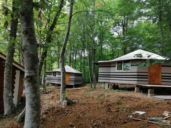 Comfort Bungalov