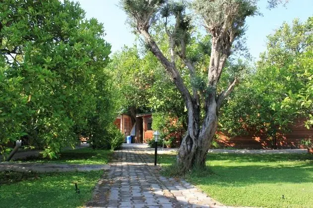 Bungalow, Dağ Manzaralı