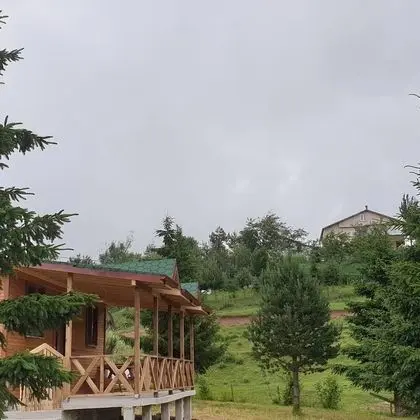 Elite Ağaç Ev